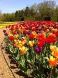 Cantigny Gardens (outside)