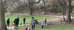 Cedarvale Park - OUTDOORS