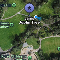 Golden Gate Pk, Robin Williams Md. - Inner Sunset/Haight
