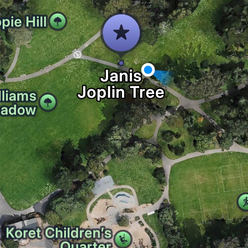 Golden Gate Pk, Robin Williams Md. - Inner Sunset/Haight