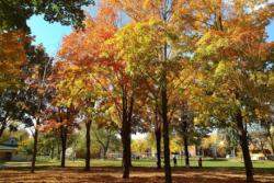Withrow Park OUTDOOR CLASS