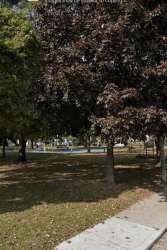 Perth Square Park (OUTDOORS) Junction