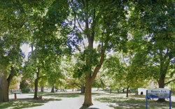 Rennie Park (OUTDOORS) Bloor West