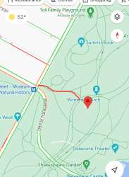 Central Park (UWS) - near Diana Ross PG (81st)