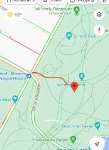 Central Park (UWS) - near Diana Ross PG (81st)