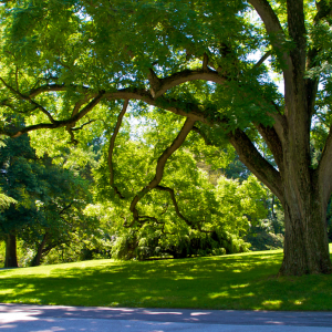 Woodland Hills: Outdoor