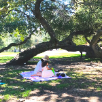Los Feliz: Outdoor