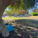 Studio City: Outdoor
