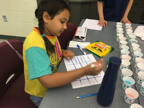 Future Doctor Gross Anatomy