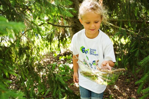 Elementary Entomology BUGS - Half Day