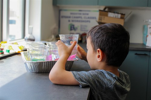 Jurassic Jamboree - Full Day