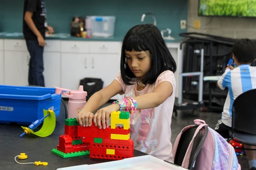 LEGO Engineering Grades K-1
