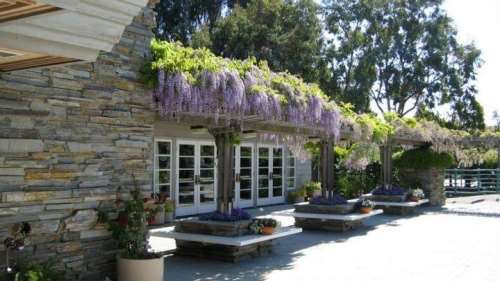 Palo Alto -Unity Church