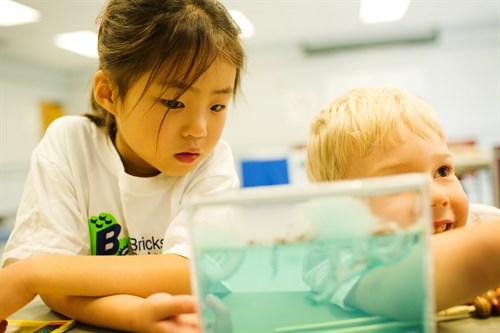 Little Science Thinkers