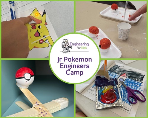 Jr Pokemon (Pocket Friends) Training Camp