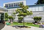 San Carlos Rec Center - Youth Center