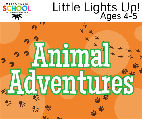 Little Lights Up! Animal Adventures