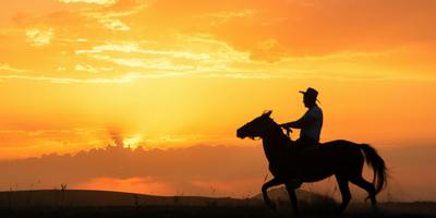 Paint Along Sunset Cowboy